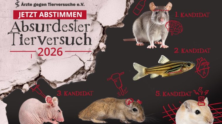 AegTTierversuch26