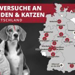 54 Hunde Katzen Karte NL
