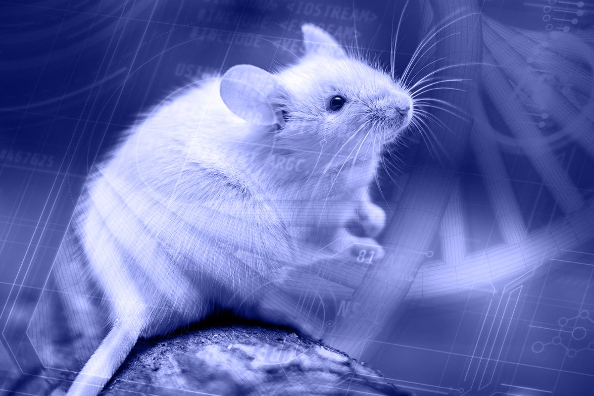 AegTDigitaleMaus