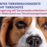 Visual Bundestagspeti PM mit Text