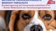 Visual Bundestagspeti PM mit Text